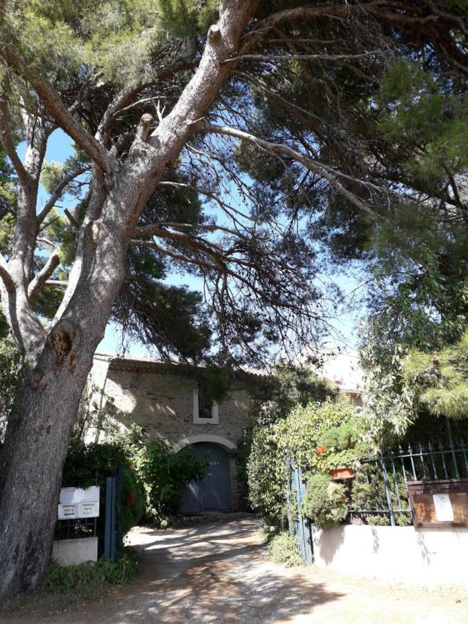 Villa Domaine De La Pinsonniere La Liviniere Exterior foto